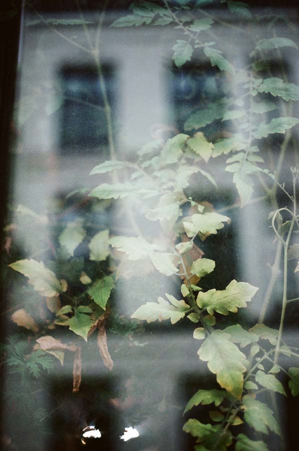 Copyright: Laure Dany Copyright: Laure Dany.