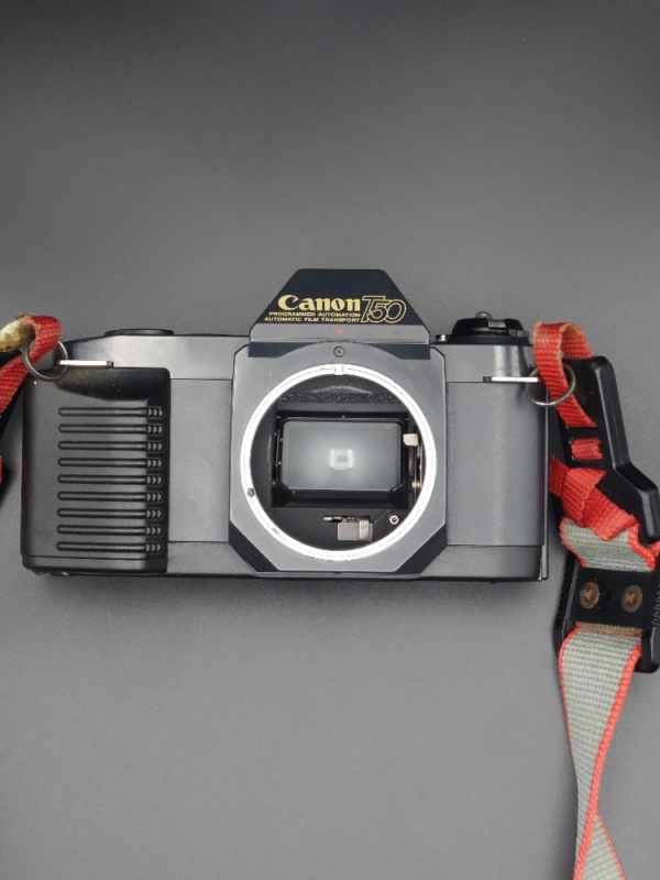 Canon T50 benber shop appareil photo argentique