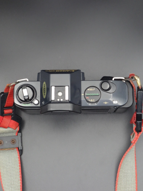 Canon T50 benber shop appareil photo argentique