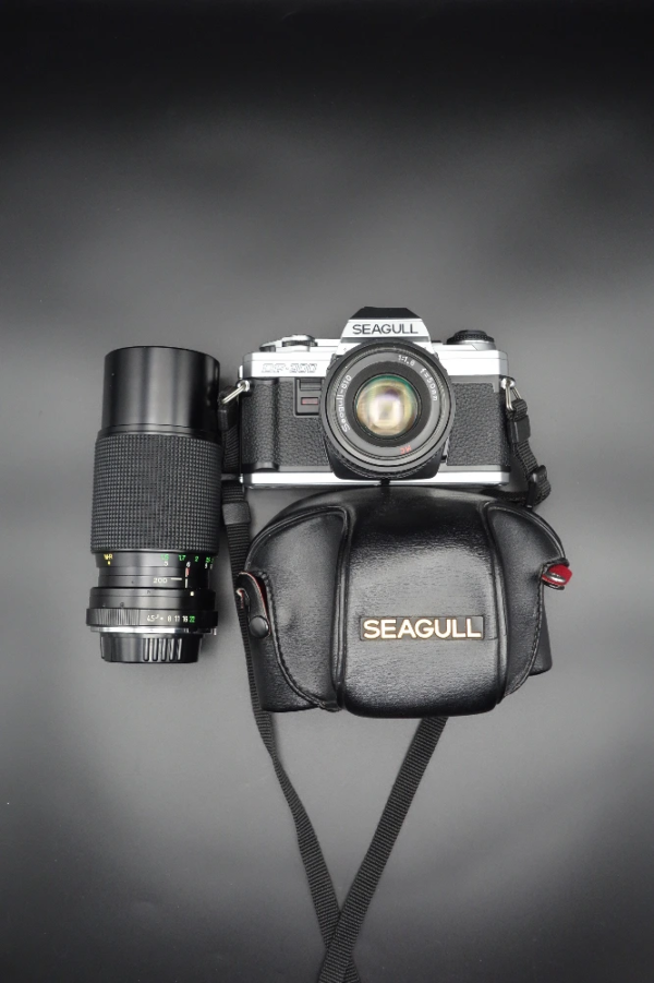 Seagull DF-300 benber shop appareil photo argentique